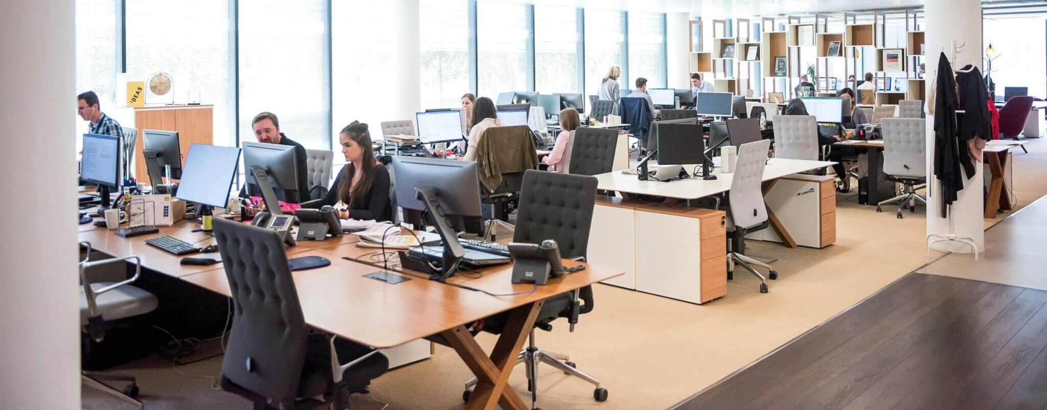 people in an office sitting at their desks