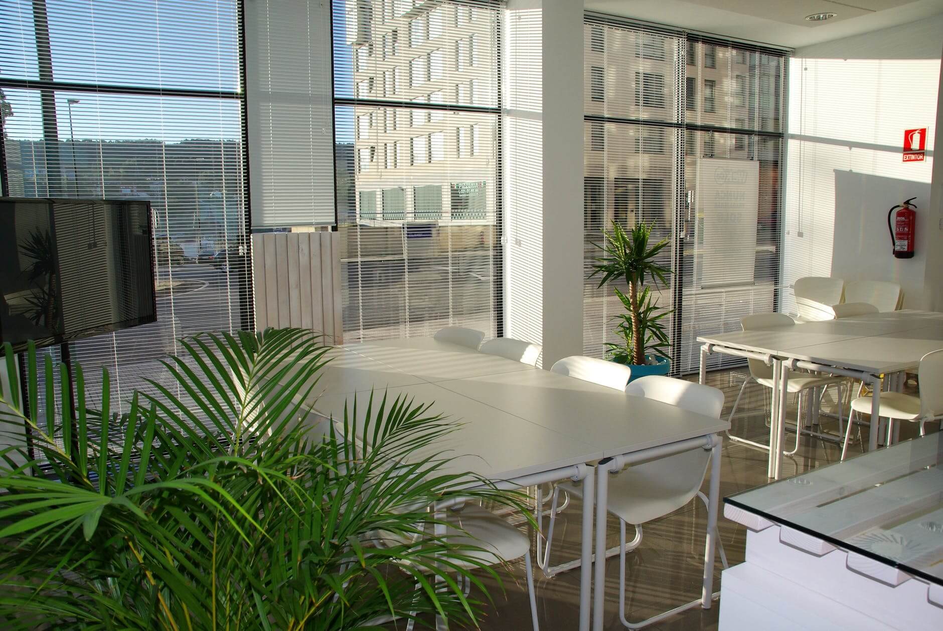 natural-light-office-meeting-room-lunch-flex-space